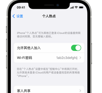 平川apple服务站点分享iPhone上个人热点丢失了怎么办