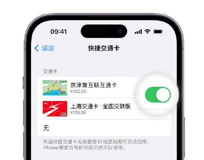 平川apple维修点分享iPhone上更换Apple Pay快捷交通卡手绘卡面 