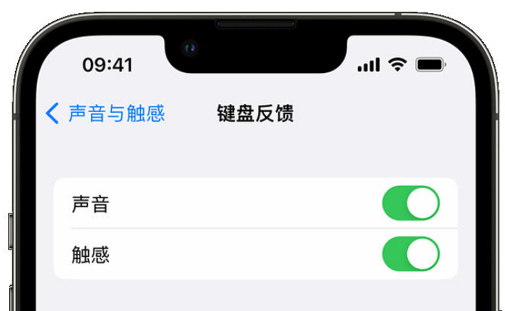 平川苹果手机维修分享iPhone 14触感键盘使用方法 