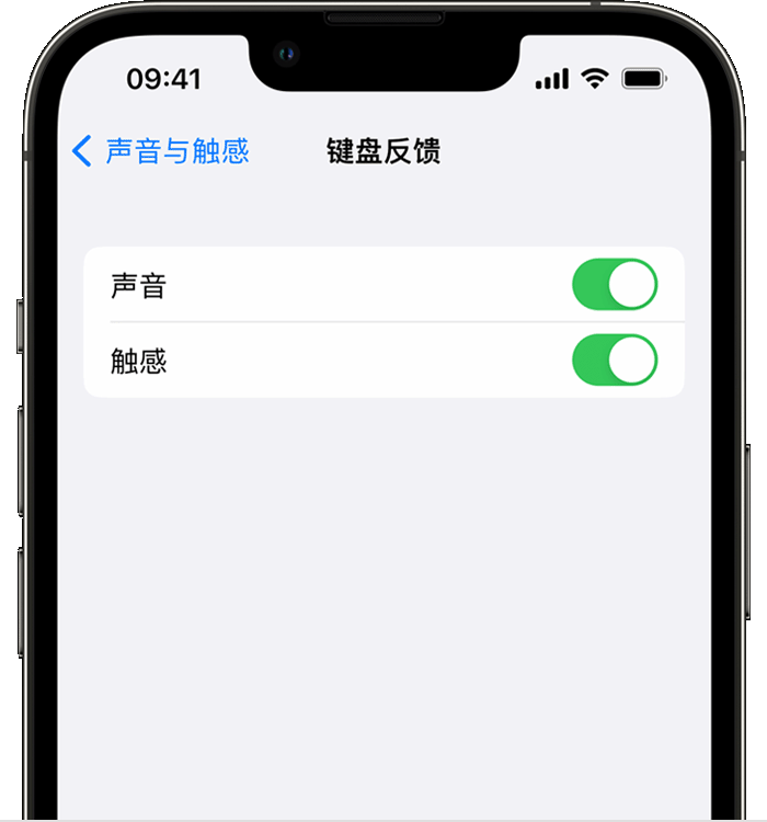 平川苹果14维修店分享如何在 iPhone 14 机型中使用触感键盘 