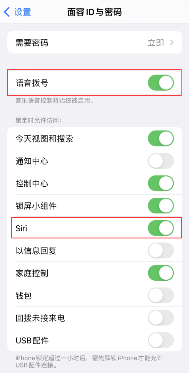 平川苹果维修网点分享不解锁 iPhone 的情况下通过 Siri 拨打电话的方法 