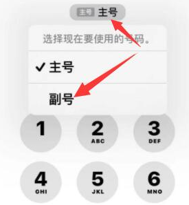 平川苹果14维修店分享iPhone 14 Pro Max使用副卡打电话的方法 