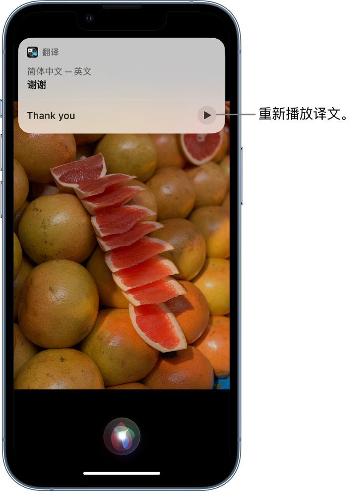 平川苹果14维修分享 iPhone 14 机型中使用 Siri：了解 Siri 能帮你做什么 