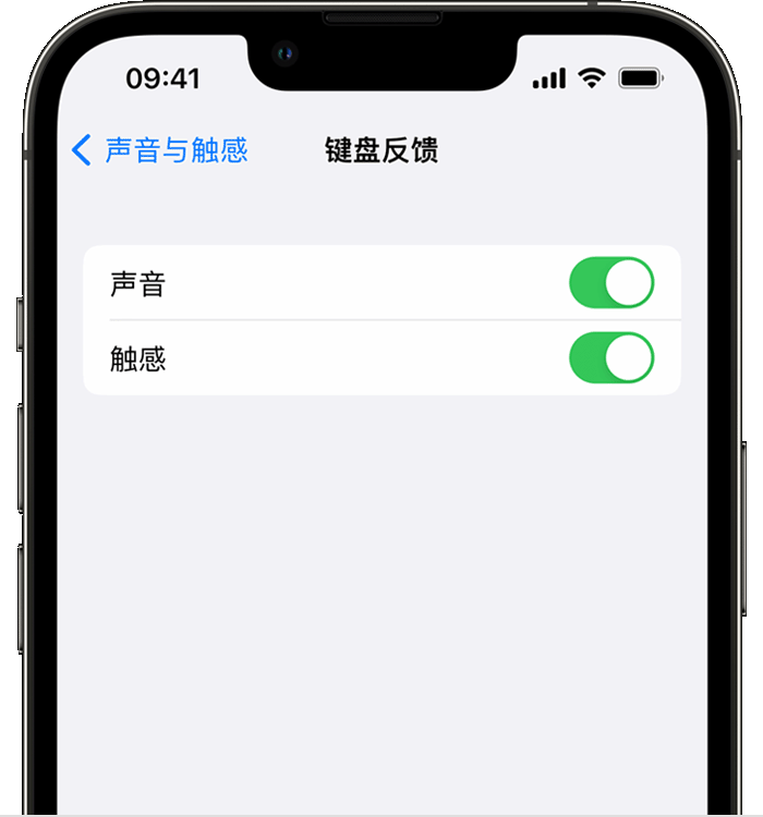 平川苹果14维修分享iPhone 14 系列机型如何开启键盘声音或触感反馈 