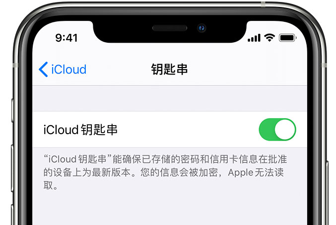 平川苹果手机维修分享在 iPhone 上开启 iCloud 钥匙串之后会储存哪些信息 