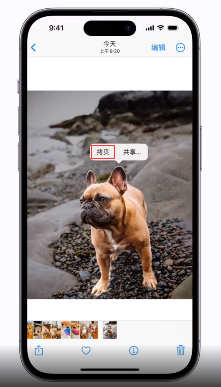 平川苹果手机维修分享 iOS 16 自带一键抠图功能 