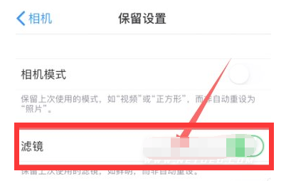 平川苹果13维修分享iPhone13拍照有绿点是怎么回事 