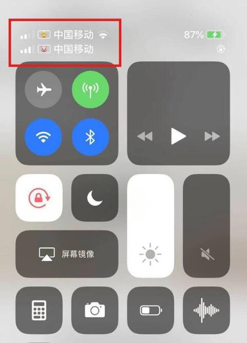 平川苹果手机维修分享为 iPhone 12 双卡设置标签 